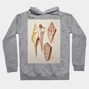 Seashell Study Hoodie